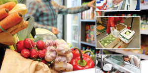 MadgeTech data logging solutions for grocery stores.